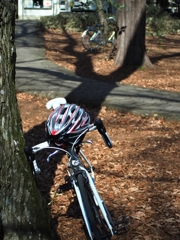 森のロードレーサー２