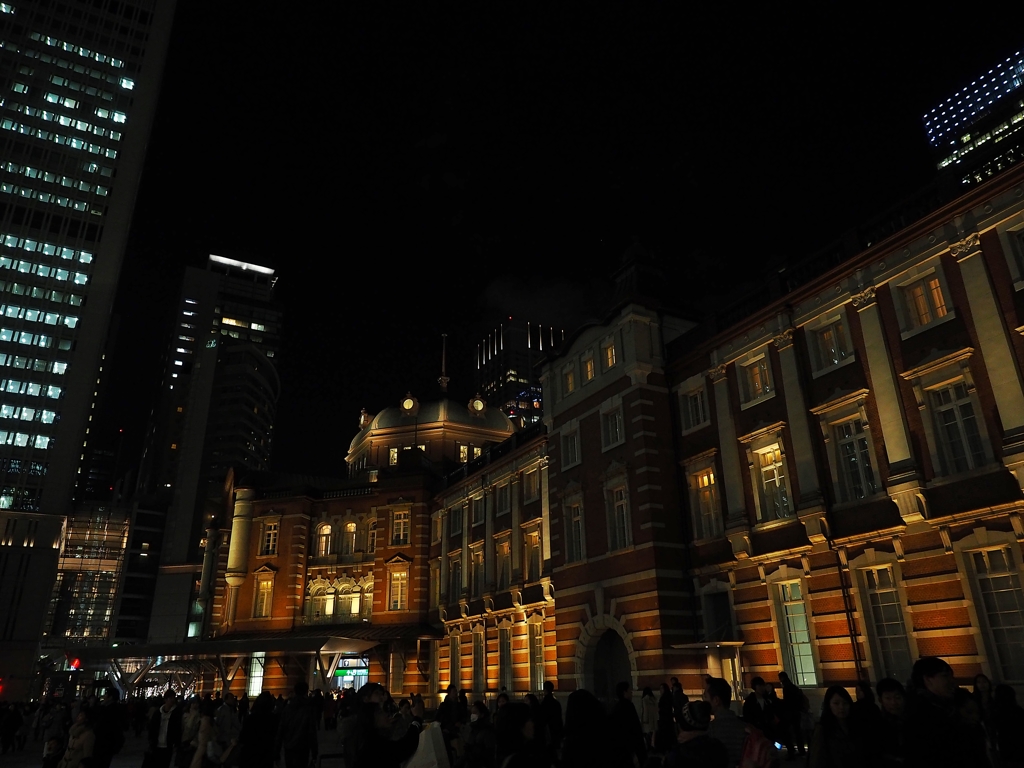 壁の中のツガイたち