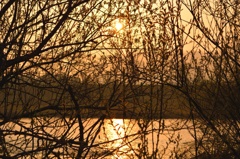 パーテーション