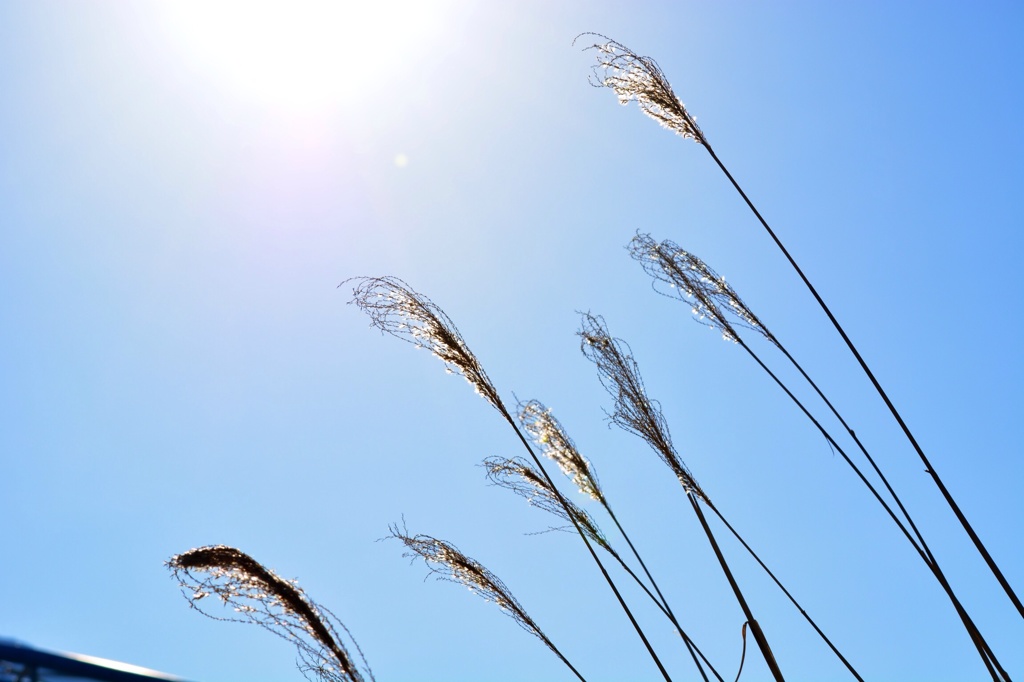 光のベクトルへ