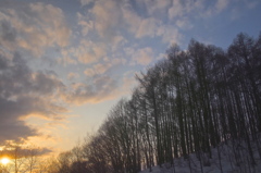 sunset...光と影のいれかわり