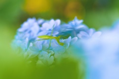 雨跡。。。動く