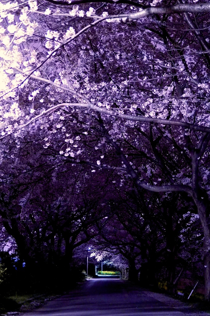 道のさきに...