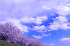 sky blue