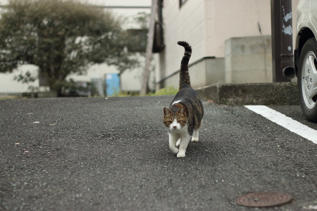 そろり