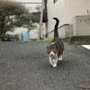 そろり