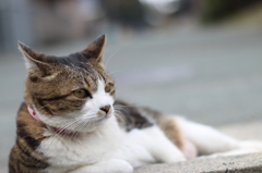 ふぅ