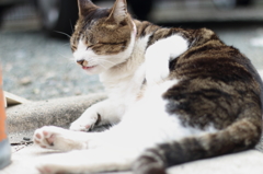 うえっ