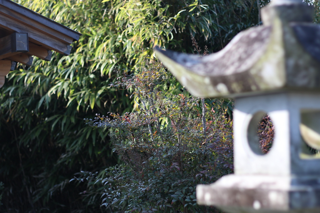 神社で…