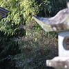 神社で…