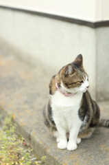 モデル気分②