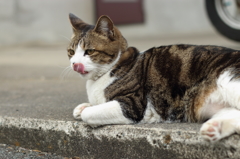 ぺろり
