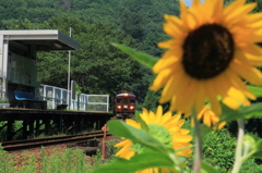 夏の小豆列車