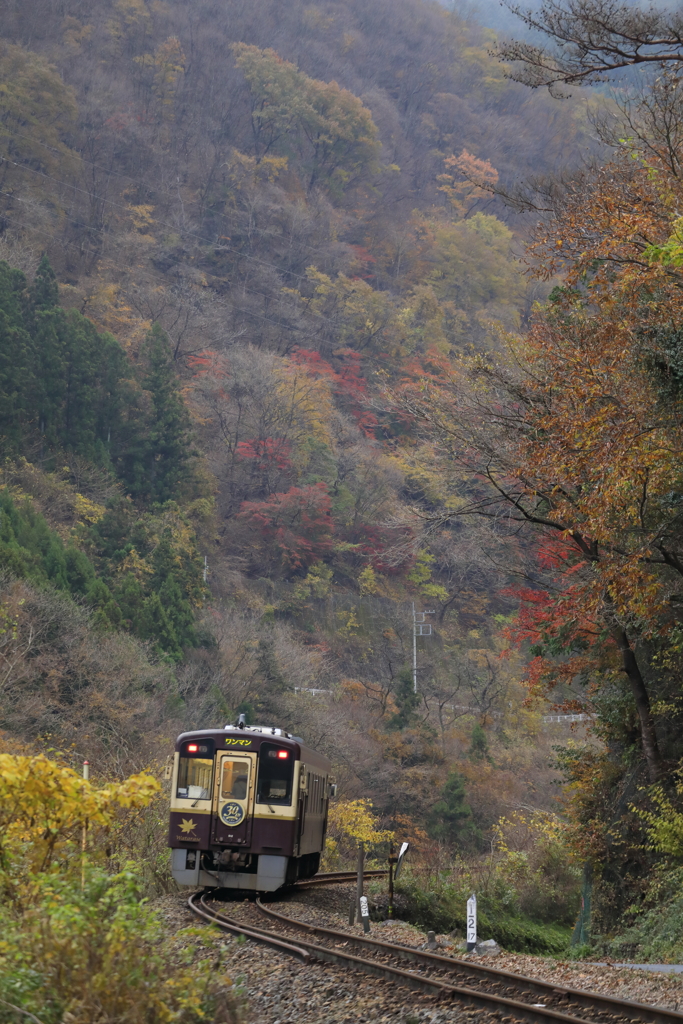 秋の渓谷鉄道　１７