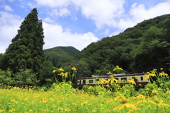 夏の終わり
