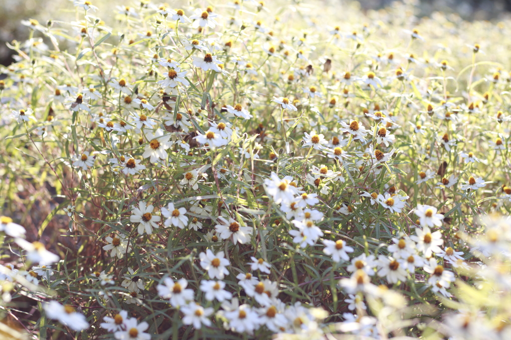 足元も綺麗だね