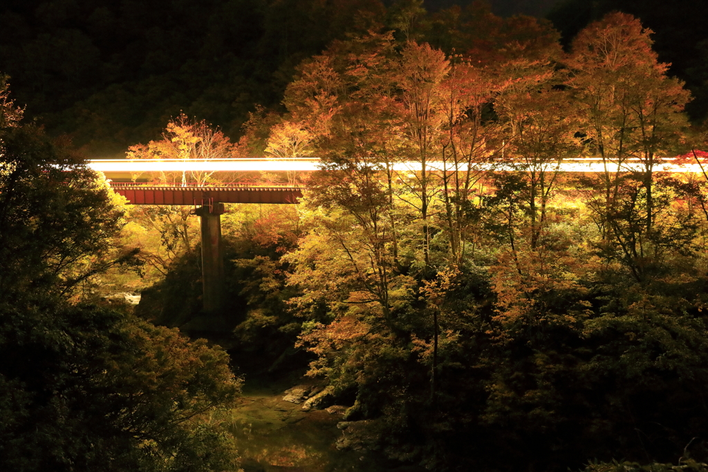 魚沼の夜に