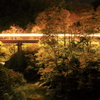魚沼の夜に