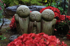 仲良くネ