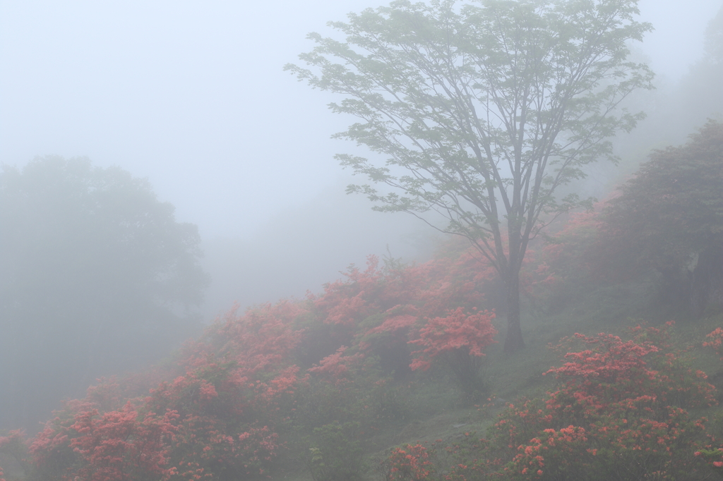 見晴山にて 2