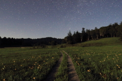 大江湿原の夜