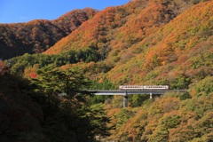 野岩鉄道の秋　２