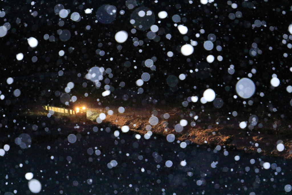 未明から降る雪