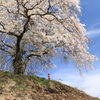 今年も来たぞ!!  2