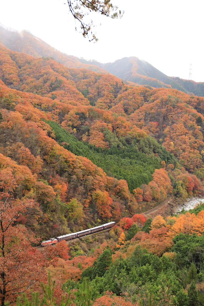 秋の渓谷鉄道　１３