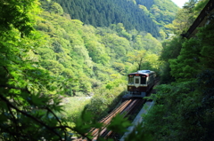 初夏の陽気