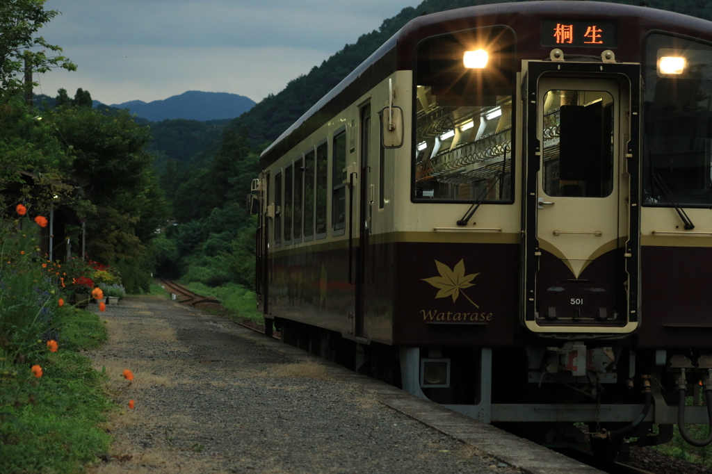 ８月 盆過ぎて神梅の夕景