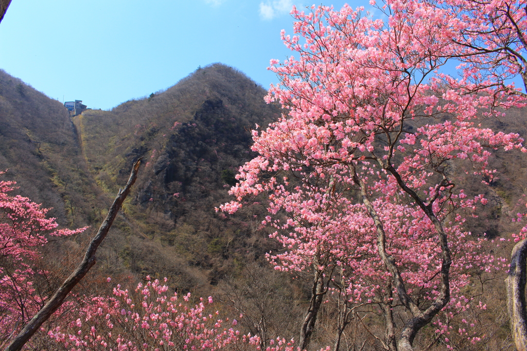 鳥居峠展望台をのぞむ