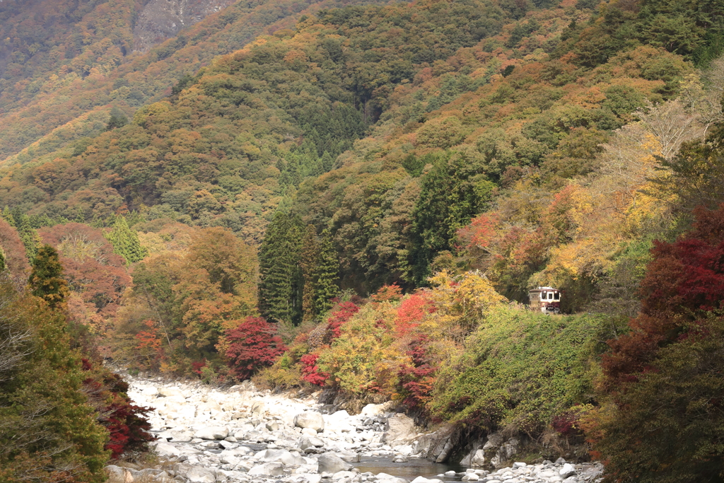山の秋