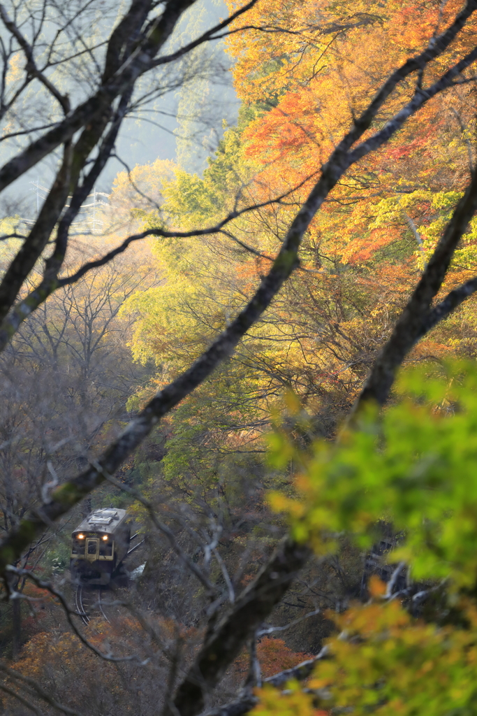 わ鐵の秋を振り返る　３