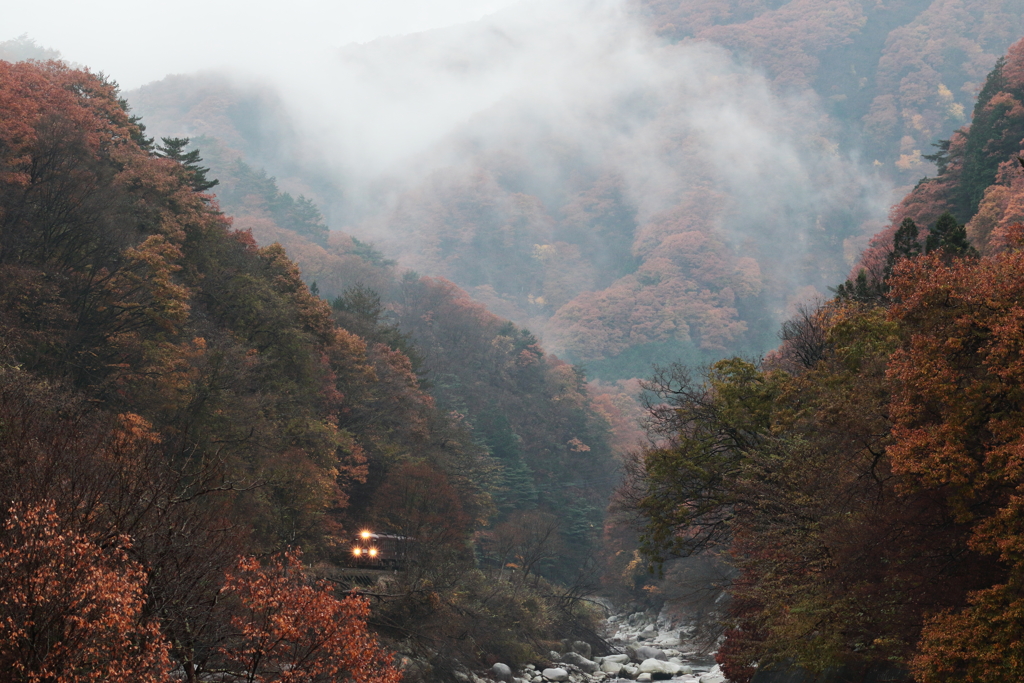 冷たい秋雨
