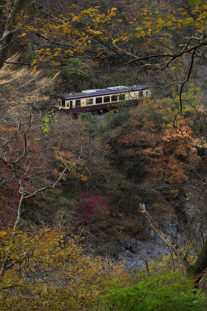 わ鐵の秋を振り返る　４