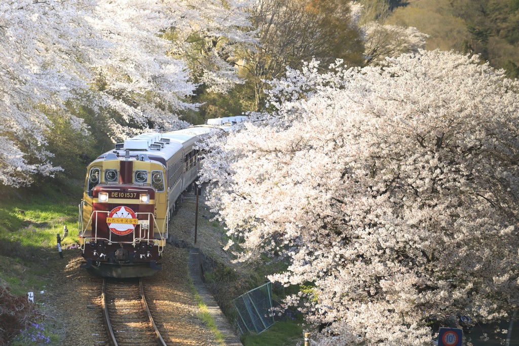 渓谷号の花道