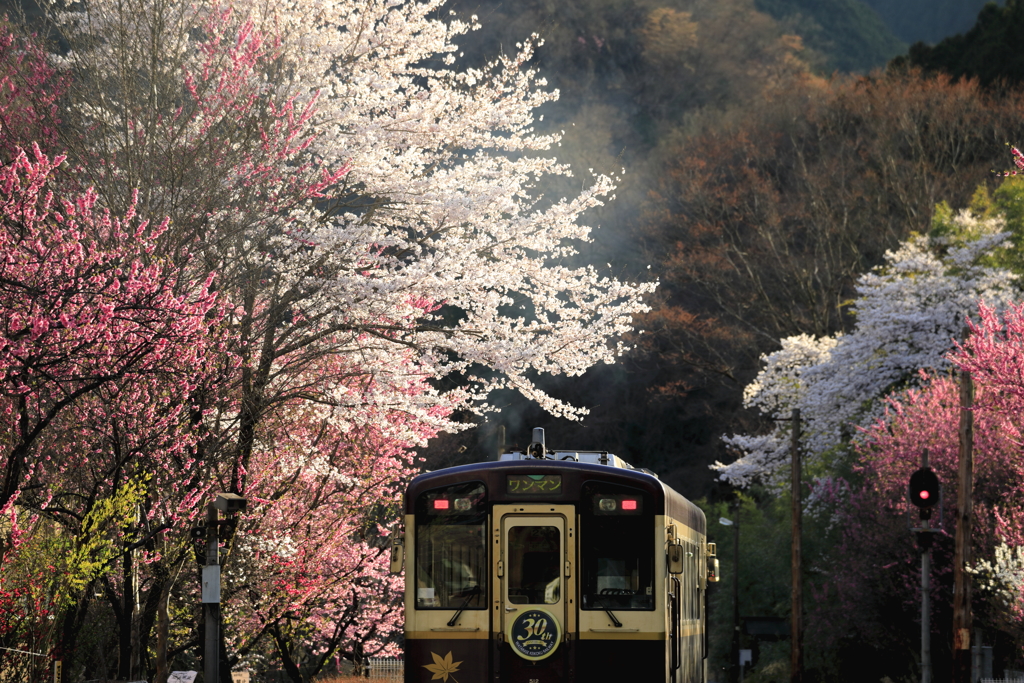 神戸駅華やぐ