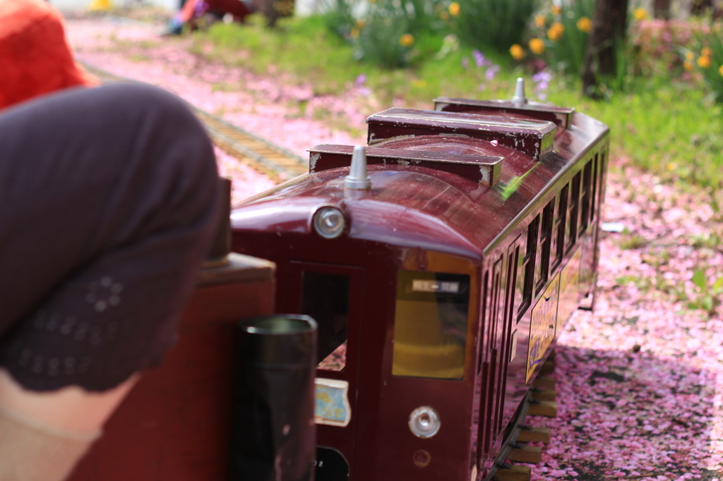 わたらせはなもも号