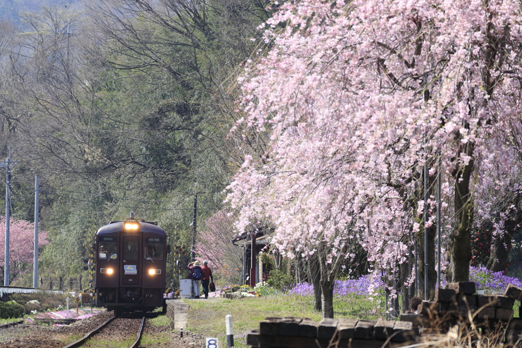春の上神梅駅