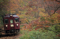 秋の小豆列車