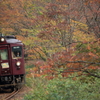 秋の小豆列車