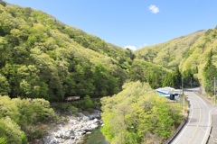 さわやか新緑風景