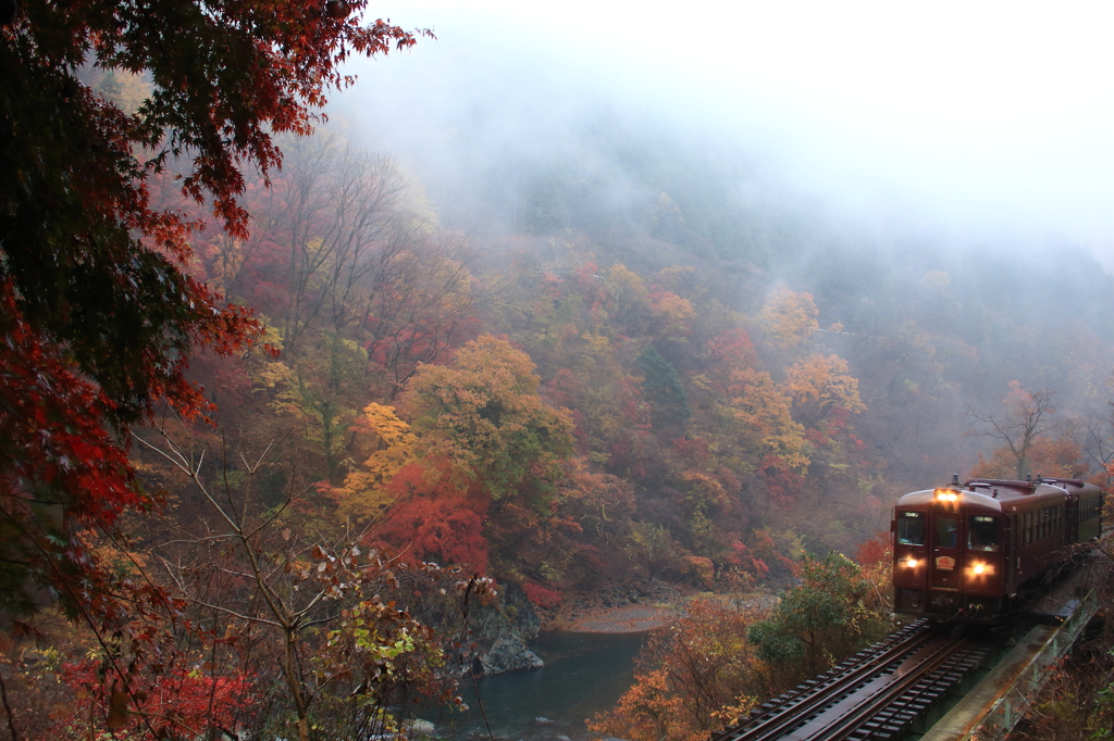 秋のわたらせ渓谷鉄道