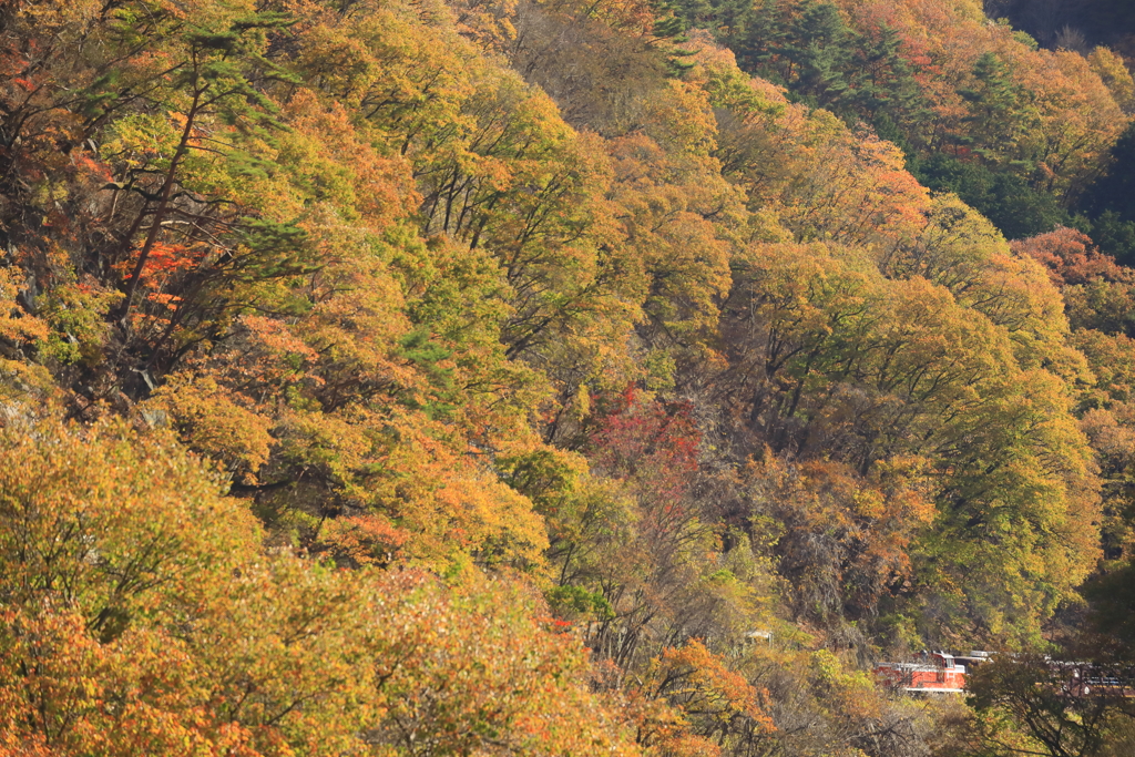 山間に轟く