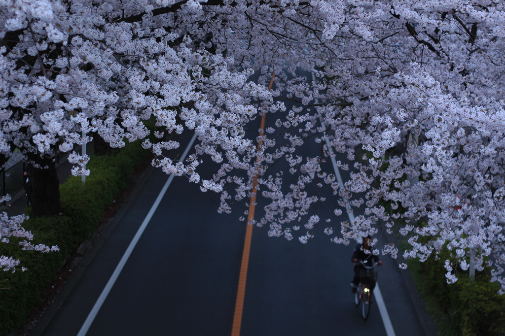 生活道路