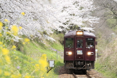春の鉄旅