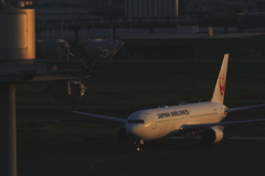 JAPAN AIRLINES 黄昏る