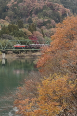 渓谷号　秋を惜しむ