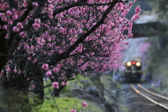 日が山に落ちる頃